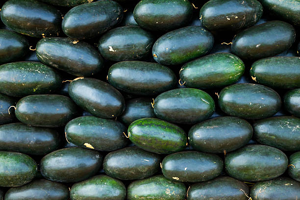 Freshly grown dark watermelons creates a background of irregular fruit texture in a Laos market