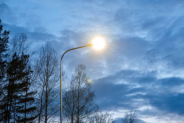 Lit Streetlamp with Bare Trees and Cloudy Evening Sky