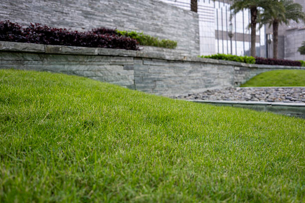 istock Lush Green Lawn with Stone Wall Background 2211273398