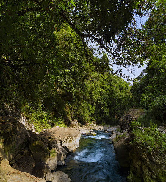 istock Turquoise water flowing through puente de dios in mexico 2211275317