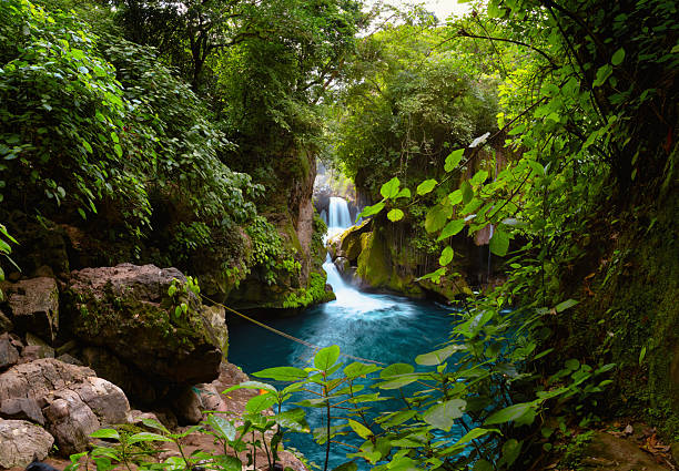 istock Puente de dios waterfall cascading into turquoise pond in lush jungle, mexico 2211275358