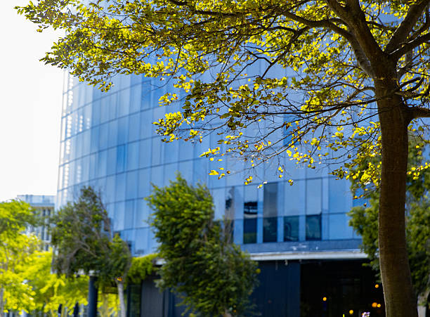 istock Modern business district surrounded by sustainable nature environment inclusion 2211277915