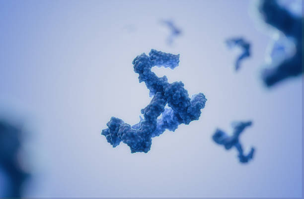 Protein Rendering 9,700+ 3d Protein Structure Stock Photos, Pictures & Royalty-Free ...