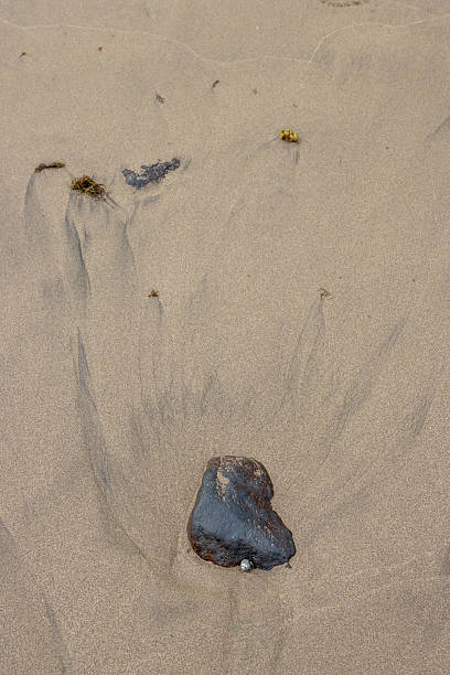 istock Sand on the Atlantic ocean beach, Spain 2211295618