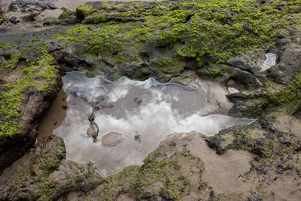 The image was captured by a half-submerged camera showing blurry reflections