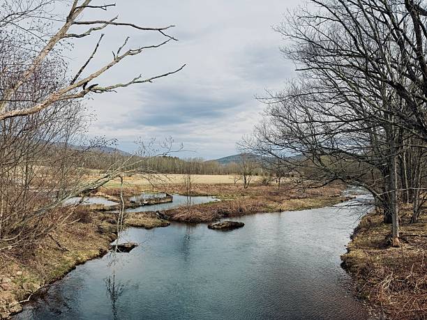 istock Winding, meandering Windham Path, in spring. Stroll, bike, walk, run among a meadow, creek, stream, pond, grassy field, wildflower. 2211298278
