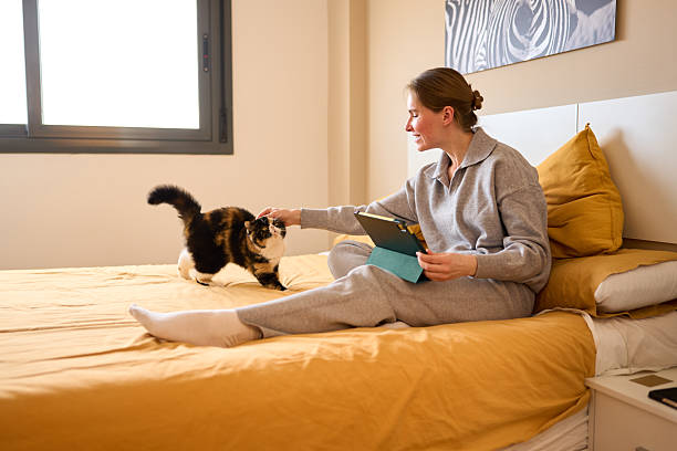 istock Woman petting cat while using digital tablet in bed 2211301125