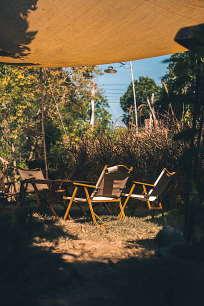 istock Rustic Tropical Garden with Monstera Foliage: Sunlight Filtering Through Greenery and Leaves by a Vintage Window, Creating a Peaceful Natural Environment, Perfect for Outdoor Living 2211309878