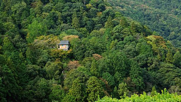 istock Secluded house in lush forested hills. 2211310095
