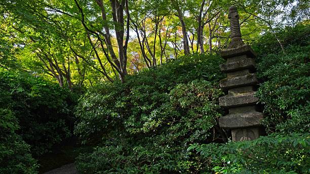 istock Serene Japanese Garden with Stone Pagoda 2211310096