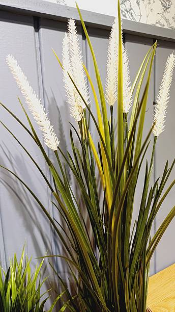 istock Artificial decorative green plant in pot 2211312648