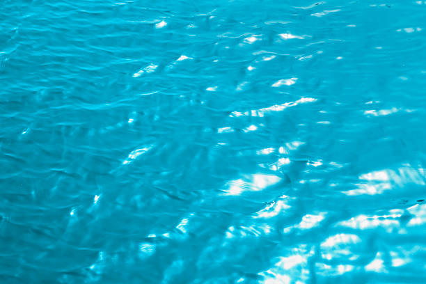The wind blows up the laker surface, producing different wave patterns