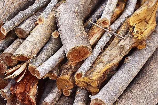 Firewood Woodpile