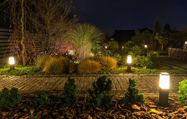 istock Beautiful Garden Illuminated by Soft Lights at Night 2211322239