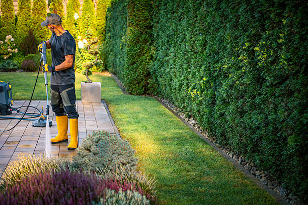 istock Gardener Maintaining an Outdoor Space With Greenery During Afternoon 2211323572