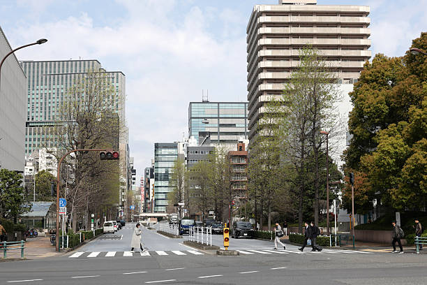 Chuo, Japan - April 7, 2025: Pedestrians on the crosswalk along Route 50 in Chuo City near the famous Tsukiji Outer Market. Spring morning in the Tokyo Metropolis.