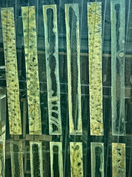 Close-Up of Textured Vertical Strips