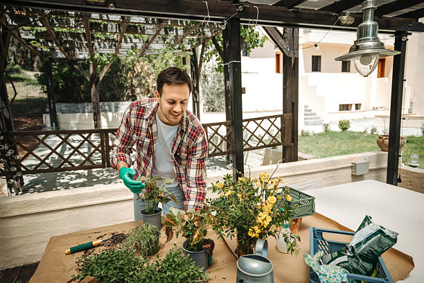 istock Young casually dressed man potting plants in backyard at home 2211341839