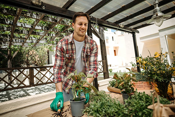 istock Home gardening hobby – man potting plants in backyard 2211341849