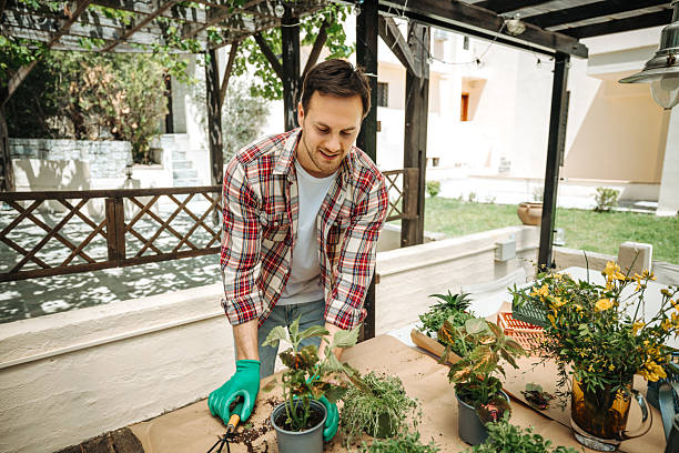 istock Home gardening hobby – man potting plants in backyard 2211341855