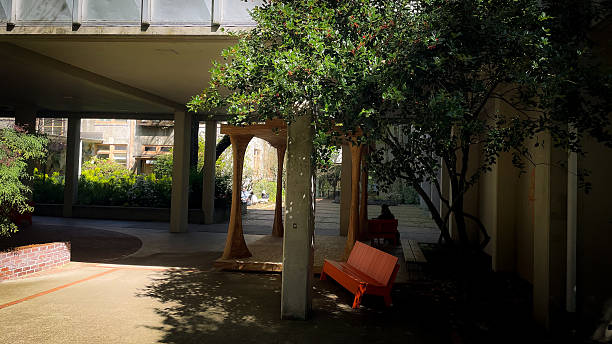 istock University of Oregon's Lawrence Hall 2211342706