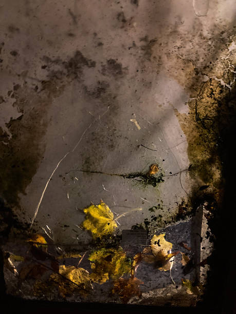Image is dark, hard to discern details, possibly weathered or dirty surface with light specks