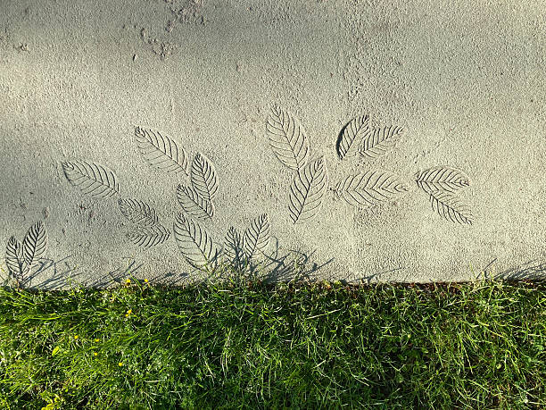 istock Image shows footprints on uneven concrete, suggesting a walking motion The surface has plant-like imprints, possibly leaves or artistic expression Focus is drawn to the center where footprints are 2211342764