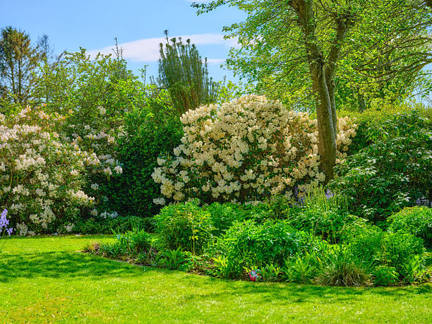 istock Lush Garden in Full Bloom During Springtime in Denmark Amid Bright Sunshine 2211342936