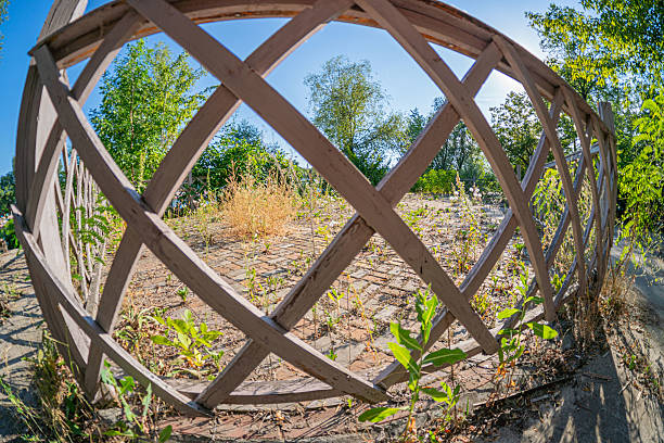 istock Image shows an off-center, tilted circular wooden frame with a lattice pattern and vegetation inside The background depicts greenery like a park or garden, trees in the distance under a blue sky wit 2211345397