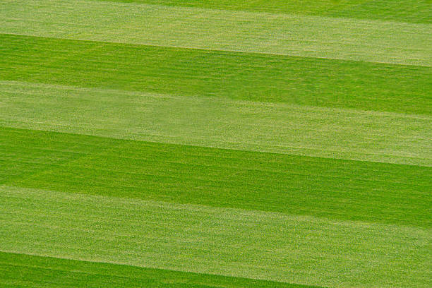 A high-resolution image of a well-maintained baseball field, showcasing pristine green turf with professional patterns The image is suitable for marketing materials, sports events, team branding, an