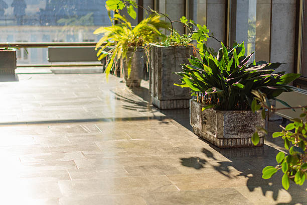 A modern, luxurious lobby with strategically placed indoor plants offers a tranquil, nature-connected ambiance, complemented by sleek marble floors and natural light It promises comfort and relaxati