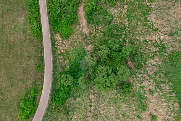 A vertical aerial image showing a curving rural road cutting through a varied landscape of green grass and dry, patchy vegetation. The contrast in textures and colors adds depth and visual interest to the scene, capturing the blend of natural and man-made elements in the countryside.
