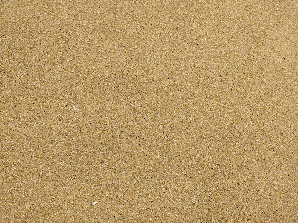 Texturerich sand background. Ideal for summer, vacation, or relaxation themes. Perfect for website backgrounds, print designs, and travelrelated content.