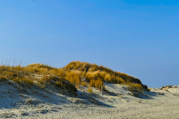 Beach Landscapes North Sea Coast