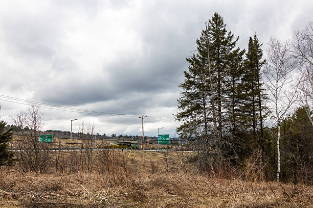A countryside highway intersection flanked by trees and open land beneath an overcast sky, conveying tranquility and nature.