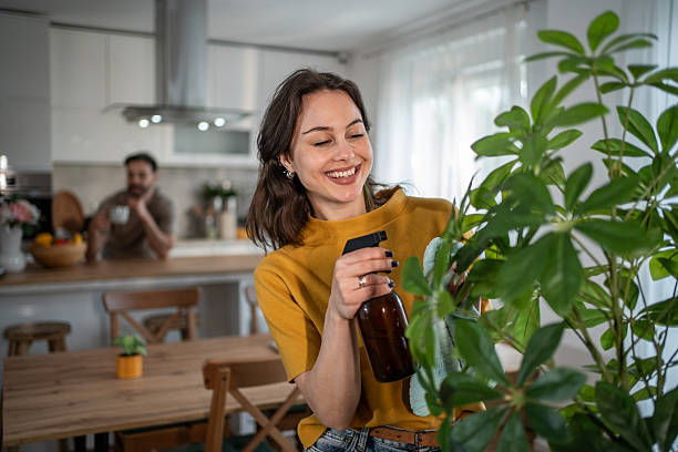 istock Young woman watering plants in a modern kitchen while her husband relaxes 2211367723