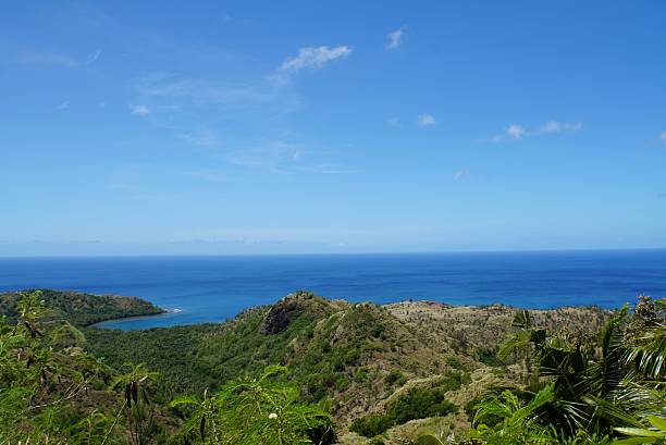 istock view of Cetti Bay Overlook 2211370036