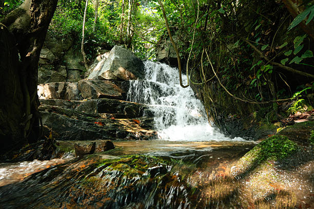 istock Waterfalls and small streams, clean and clear in nature, summer 2211370925