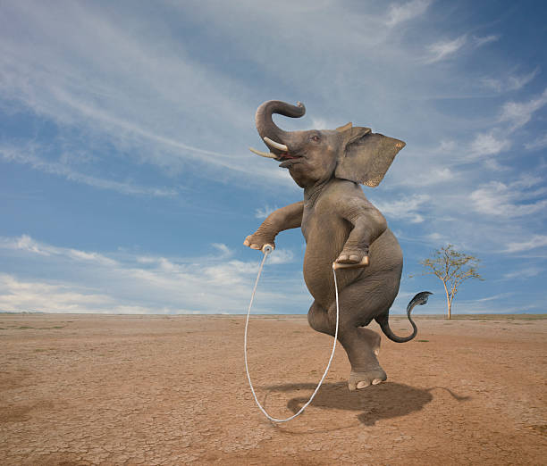 istock Conceptual image of elephant skipping rope in desert 2211378364