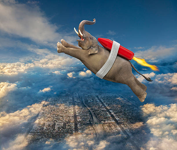 istock Conceptual image of elephant wearing rocket pack above city and clouds 2211378401