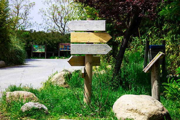 Mock up Wooden direction boards in the forest path. Blank Singboard or information board in a nature park between the trees and beside the pathway.