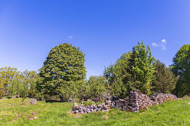 istock Old ruin in an old agriculture landscape 2211380286