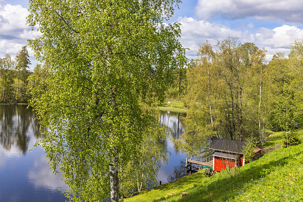 A forest landscape with a few houses by the river Ljusnan in the Hälsingland province of Sweden.