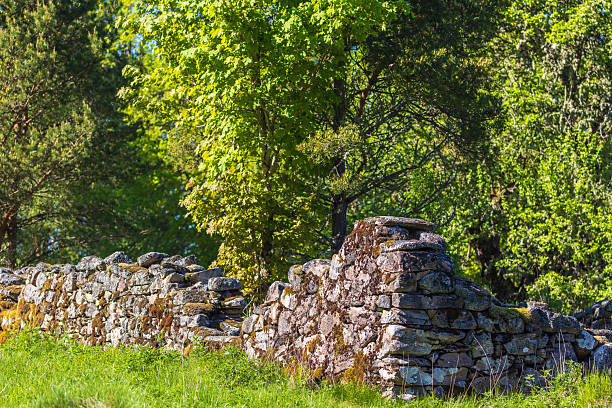 Ruined farm house at a rocky beach in Norwegian fjord in autumn (fall). Shot with a full frame camera with a fast prime 85mm f/1.8 lens at low ISO resulting in a large clean file. Shallow depth-of-field. Ample copy space. The image is part of series.