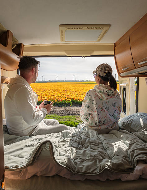 istock Enjoying a serene spring morning overlooking vibrant tulip fields in Flevoland Netherlands 2211386464