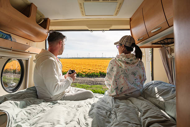 istock Stunning spring tulip fields in Flevoland, Netherlands, viewed from a cozy camper van 2211387149