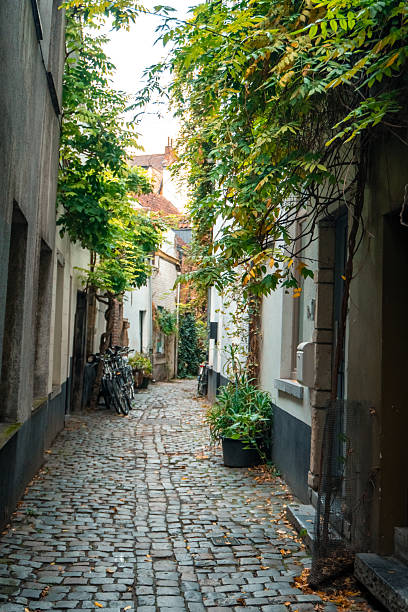 istock Narrow street and buildings, Brussels 2211388331