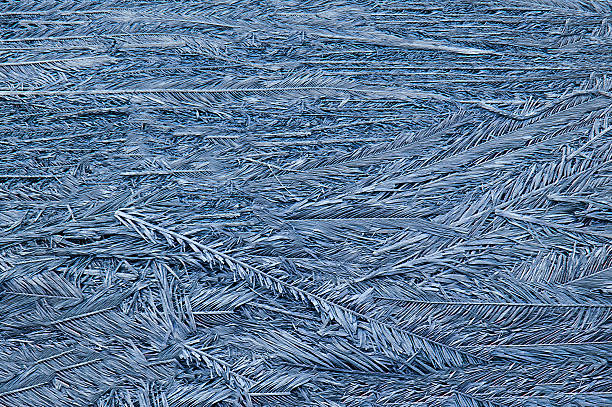 istock Frozen fern leaves creating intricate ice pattern on water surface 2211388666