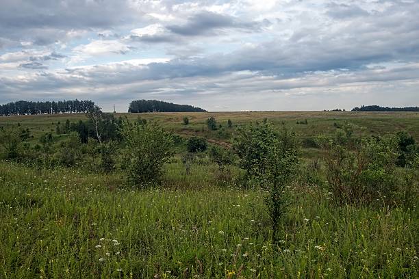 istock Dirt road in the countryside on a cloudy day 2211388912