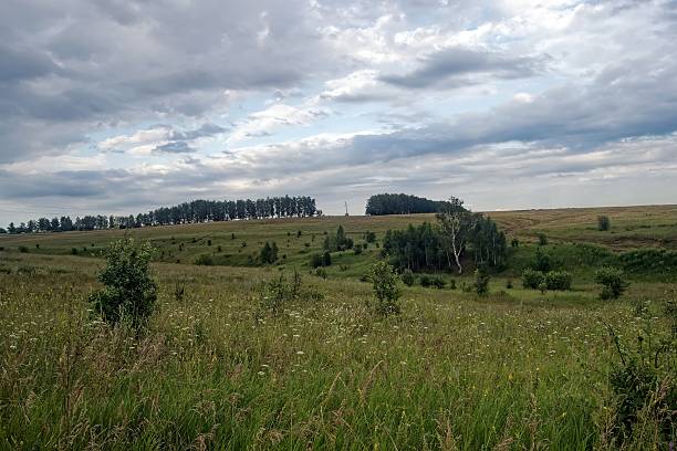 istock Dirt road in the countryside on a cloudy day 2211388953